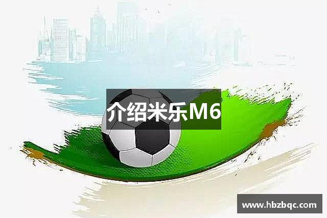 介绍米乐M6